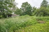 Garten hinter dem Haus - 