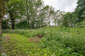 Garten hinter dem Haus - 