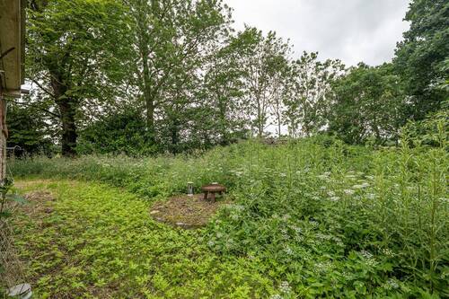 Garten hinter dem Haus - 