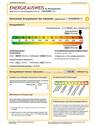 Energieausweis - 