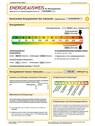 Energieausweis - 