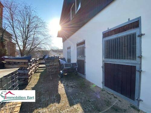 Halle / Bereich Pferdeboxen - 