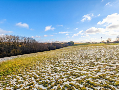 Blick auf das Feld - 