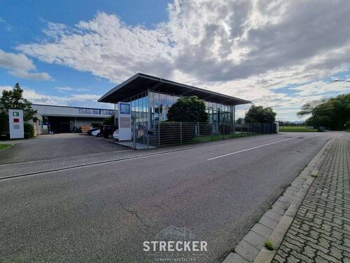 Blick auf die Zufahrt - Halle zum Kaufen in Bornheim