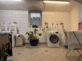Waschkeller - 