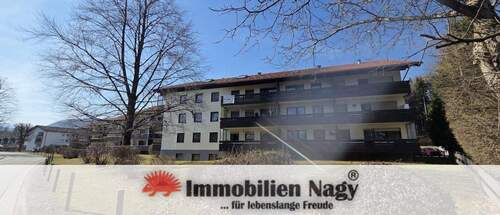 20260228_120116-1-scaled.jpg - 