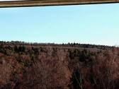 Ausblick - 