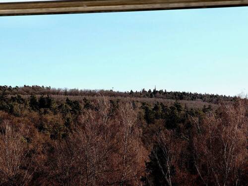 Ausblick - 