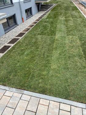 Garten.JPEG - 