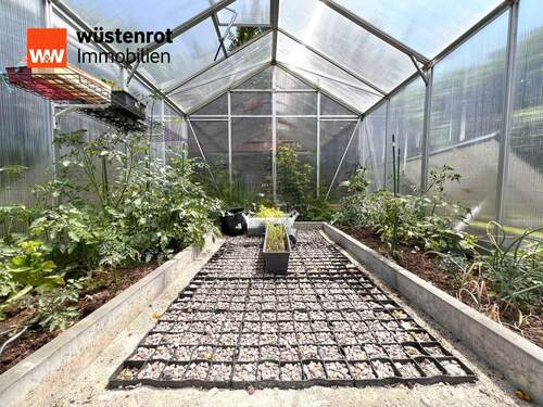 Gewächshaus - 