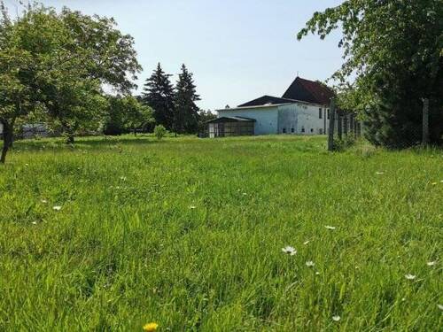 Bild 42 - 