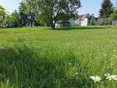Bild 43 - 