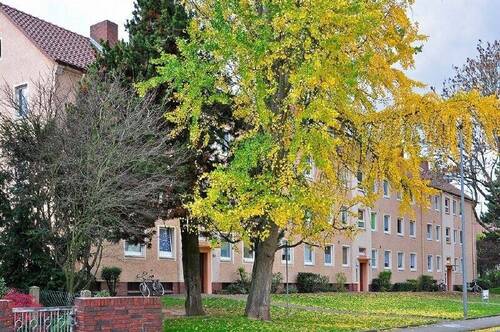 _DSC6773 Kopie - 3 Zimmer mit Balkon - 599,00 EUR Kaltmiete, ca.  60,80 m² Wohnfläche