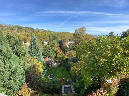 Blick in den Garten.jpg - 