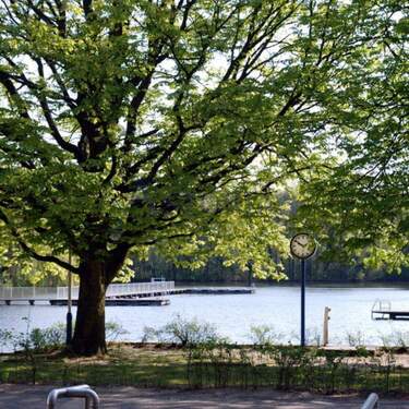 Parkanlage - 2 Zimmer Etagenwohnung in Berlin