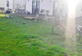 20241029_092749.jpg - 