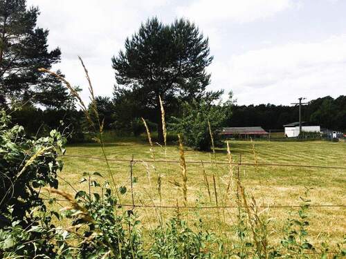 Grundstücksansicht - Grundstück in Neustrelitz / Groß Trebbow