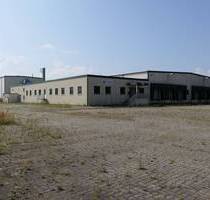 Großer Gewerbestandort in Garz Insel Rügen - Garz/ Rügen