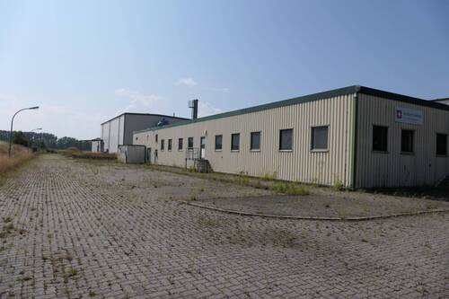 Ansicht - Halle zum Kaufen in Garz/ Rügen