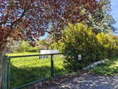 Straßenseite mit Tor und Hecke - 