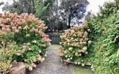 Herbstsaison - 