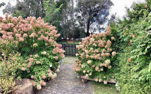 Herbstsaison - 