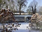 Seeblick im Winter - 