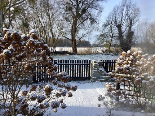 Seeblick im Winter - 