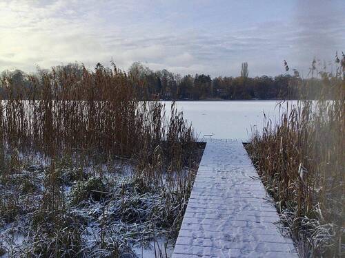 Steg zum See - 
