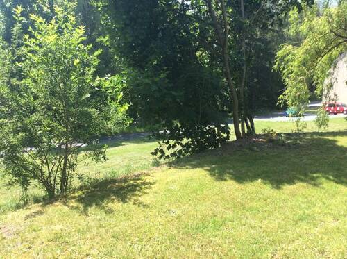 Bild 2 - Grundstück zum Kaufen in Bad Brambach