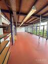 IMG 0804 - 
