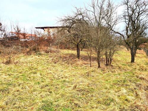 Front - Grundstück in Hessisch Lichtenau