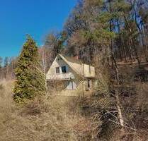 ***reserviert*** Wohnen mitten im Wald - Knüllwald-Wallenstein