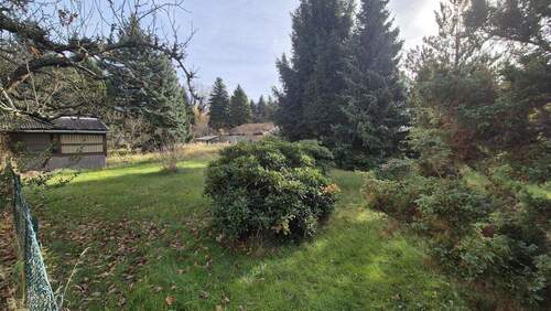 Einblick ins Grundstück - 