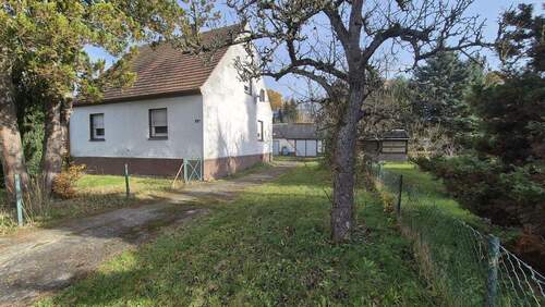 Blick ins Grundstück - Einfamilienhaus mit 148,40 m² in Bad Muskau zum Kaufen