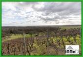 Reben - 
