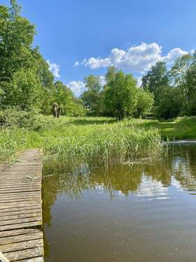 Blick vom See zum Haus - 