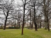 Lutherpark - 
