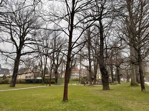 Lutherpark - 