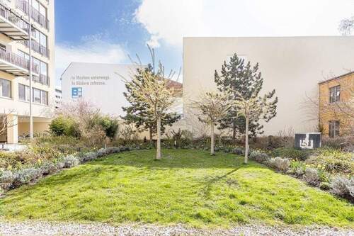 Gemeinschaftsgarten - 