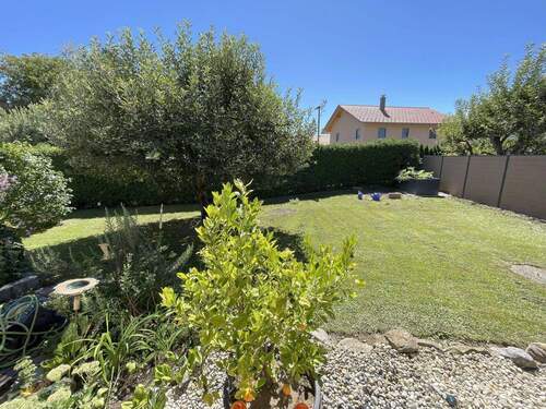 Sicht vom Wintergarten - 