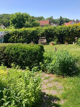 Garten - Mehrfamilienhaus, Wohnhaus mit 258,00 m&sup2; in Dresden zum Kaufen
