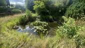 Bild 10 - 