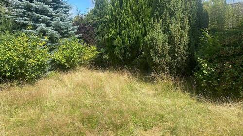 Bild 6 - 