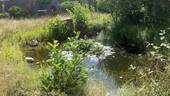 Bild 8 - 