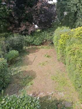 Der Garten - 4 Zimmer Doppelhaushälfte in Troisdorf