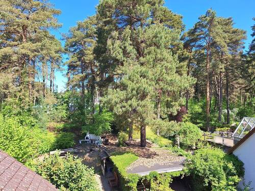 Ausblick auf Grundstück - 