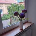 Blick in den Innenhof - 
