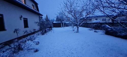 Garten im Winter - 
