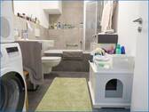 NE_09_BBW1_EG 3-ZIMMER_5 - 